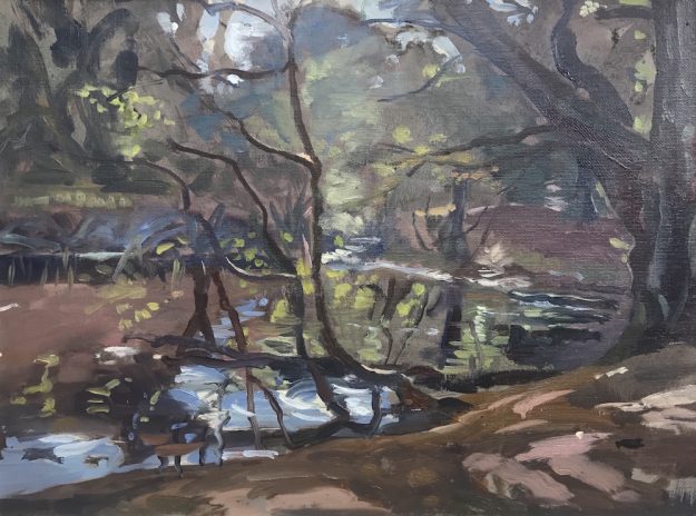 Jurassic light Sandy Road Pond Hampstead. 12" x 16 " available £200